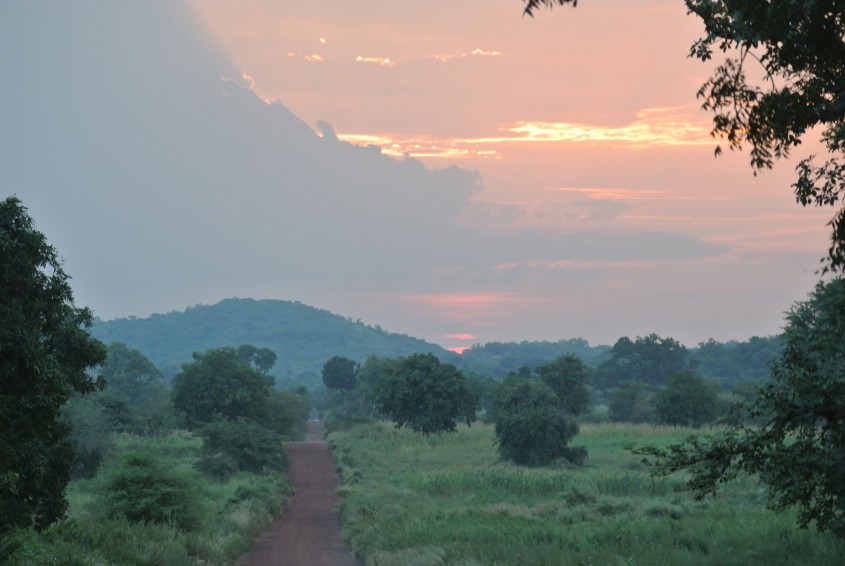 Dragons West Africa Fall Semester Sunset over Dirt Road Senegal Gap Year