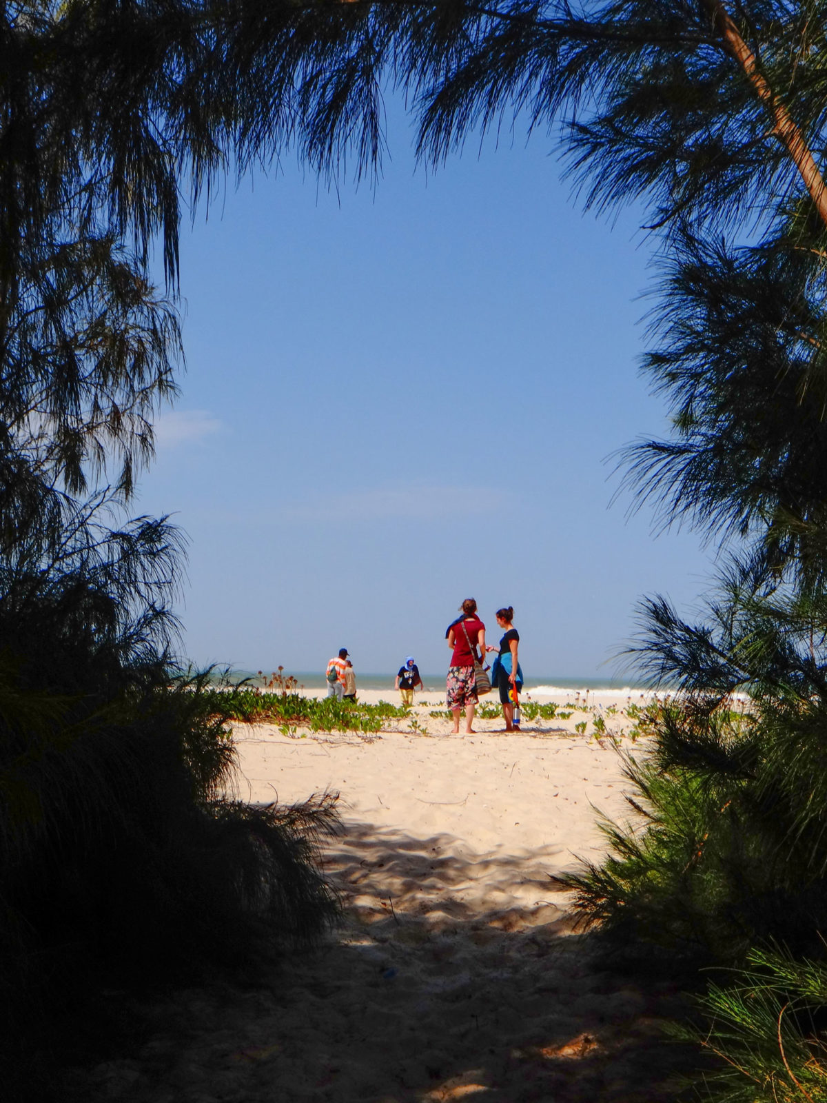 Beachside views