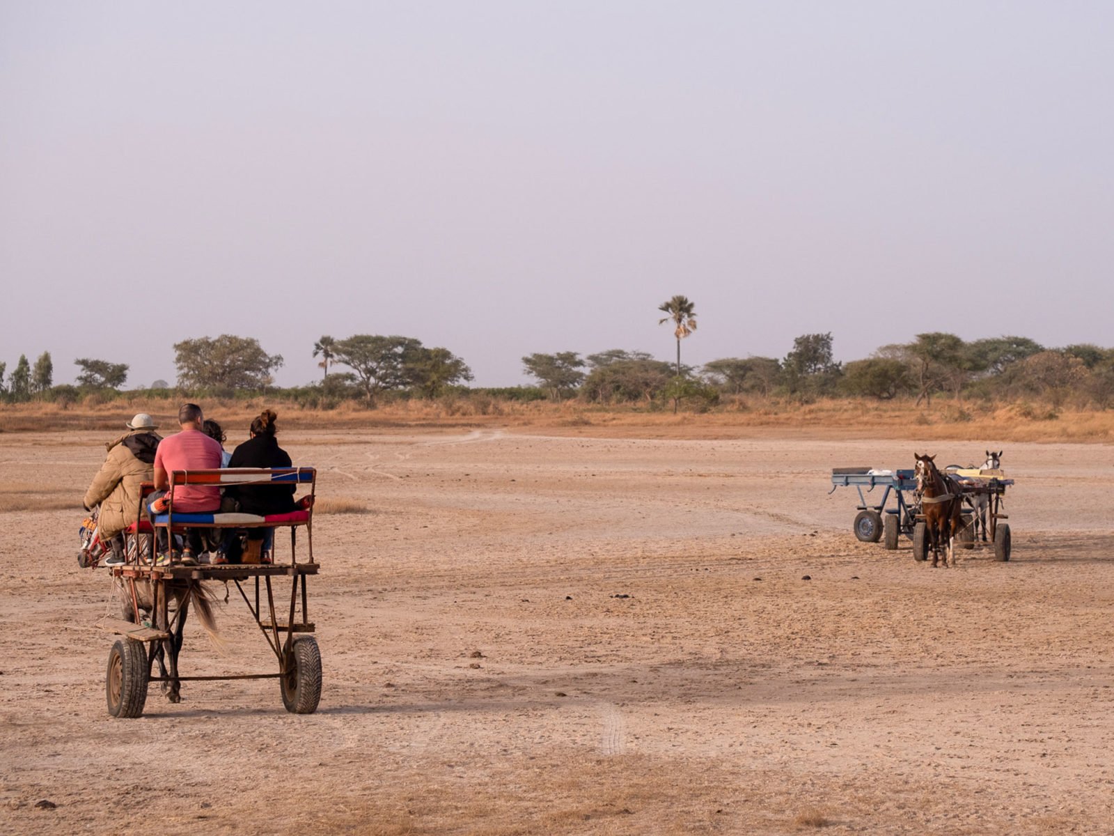 Horse carting