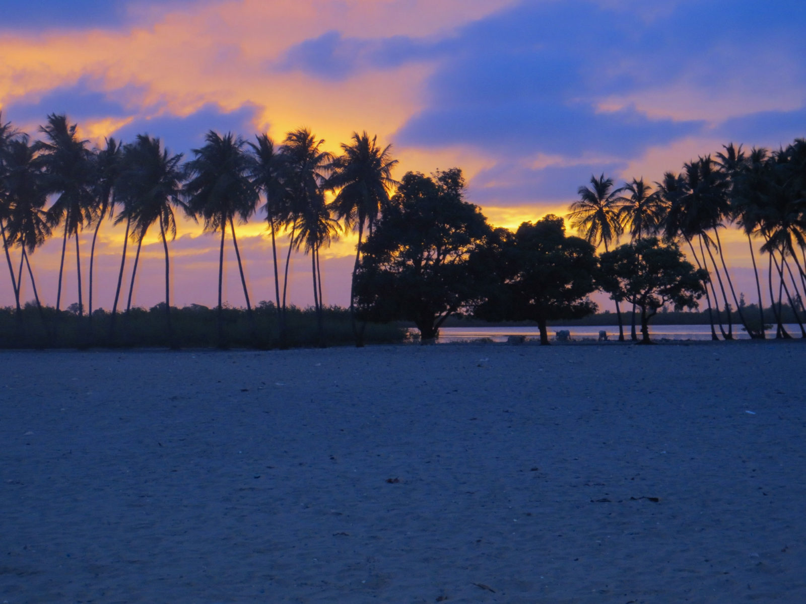 Seaside sunsets