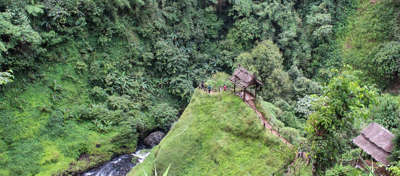 looking down at bridge on lush trail