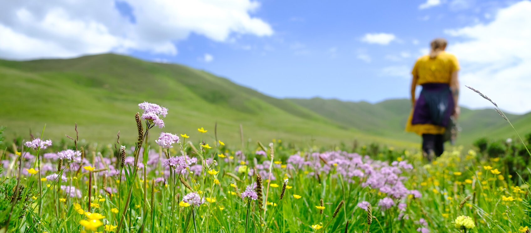 girl walking in mountain flowers